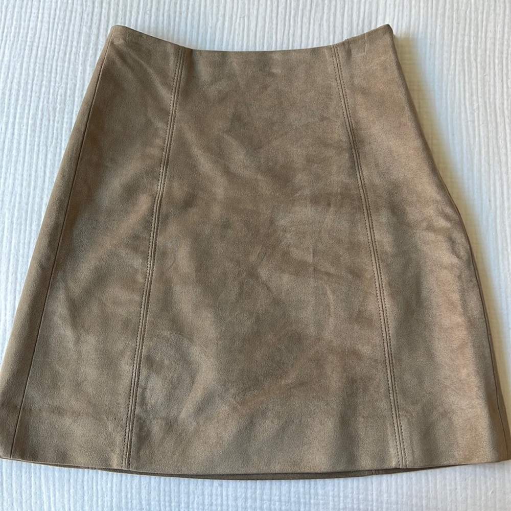 Aritzia/Babaton skirt